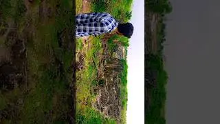 She is calling me 🤔😫 should I Go ft. nature #JabalpurDiaries #TravelGram #ScenicViews #shorts