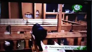 Сарай правила