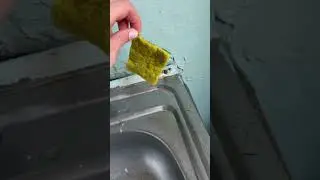 Life has taken its toll. Video by: @julie.271 