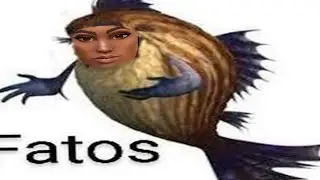 Valorant Shitpost