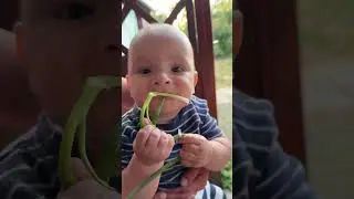 Цибуля😂🤣