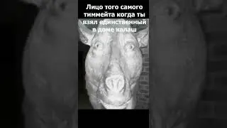МЕМ РАСТ ЛИЦО ТИММЕЙТА ПРЕДСТАВИЛИ?)  
