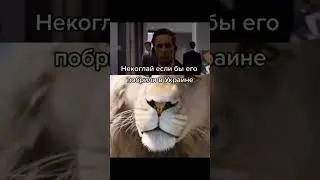 🤡‼️Слив Некоглая уже в тг канале: gossipsgolds  