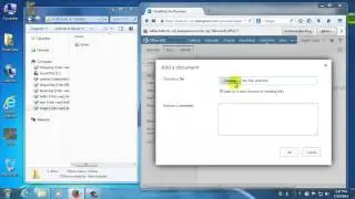Basic File Management in OneDrive