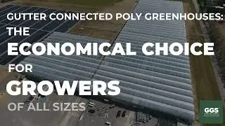 Gutter Connected Greenhouses: The Ultimate in Efficiency and Adaptability
