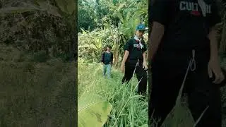 Saung sawah | Kiprah palemburan
