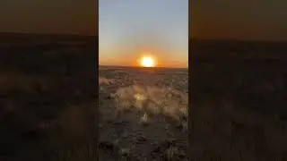 #степь