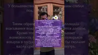 Угол подрезания - 45 или 90 градусов? Азбука флориста  