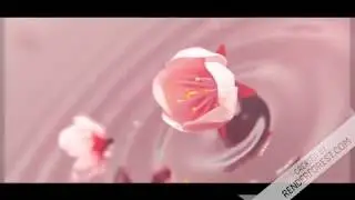 Intro Video
