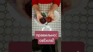 свеклА или свЁкла? #свекла #ударение