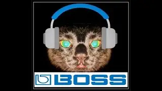 Roland Boss guitar gear 90's final chapter- pinnacle minimal- the vurst is yet