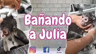Bañando a Julia