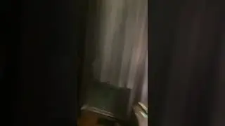 idiots harassing cat in bag