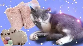 Мурр сны и мурр позы.