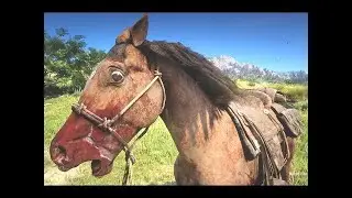 Horse #rdr2
