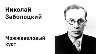 Николай Заболоцкий Можжевеловый куст Учить стихи легко Аудио Стихи Слушать Онлайн