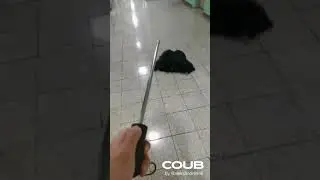 Coub недели 2019| best coub| зонт