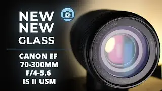 New Old Glass - Canon 70–300mm IS II: Birding Hidden Gem?