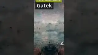 The Insmoke - Gatek