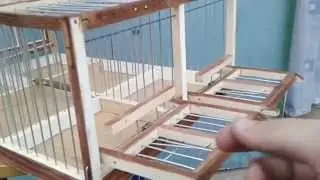 Tomsk trap for catching birds from Temka the Birdcatcher.
