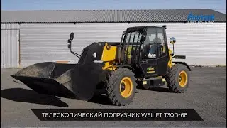 Китайский погрузчик WeLift T30D-68 на перегрузке зерна