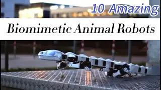 10 Amazing Biomimetic Animal Robots