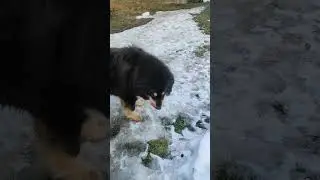 У Таси день зарплаты )