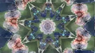 Unreliable External (The Church)(Back With Two Beasts)