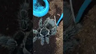Машенька ещё слаба, но ей немного полегчало!