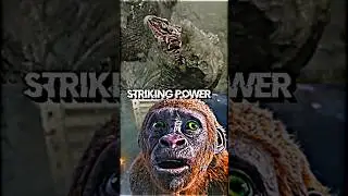 Suko VS Ramarak #godzilla ##monsterverse #trending #youtubeshorts #whoisstrongest #shorts #viral