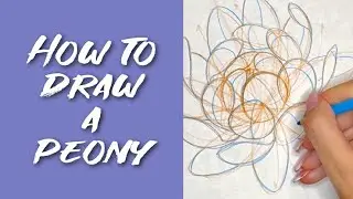 Episode 12: How to draw a PEONY