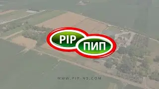 PIP corporate film