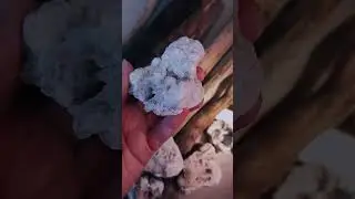 На берегу мерцающие камни