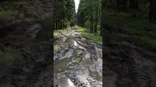 НААААША ЗАДАЧА, ЭТО РАААААЗНЫМИ СХЕМАМИ  #rec #automobile