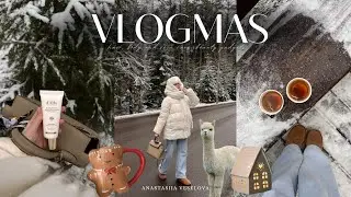 VLOGMAS #2 | decorating an apartment | Alpacas Park | skating rink in Okhta Park | unpacking ZYA ...
