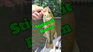 Catching Bass stickbaits! 