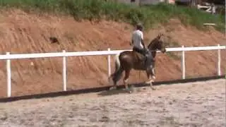 Ze&Intriga