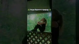с любовью к природе #perrodog