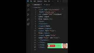 html Fieldset label File input learn 