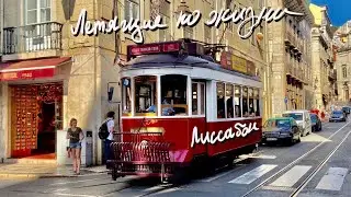 Летящие по Жизни. Выпуск #020 - Лиссабон + Кошта да Капарика