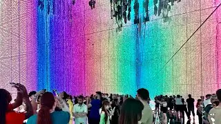 🇯🇵 Immersive Museum of Lights, Flowers & Water Features in Tokyo (teamLab Planets)