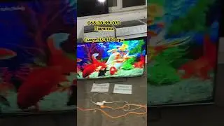 Телевізор акваріум