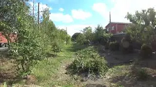 Спил жерделии