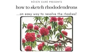 How To Sketch Rhododendrons - An Easy Way To Resolve The Rhodies!