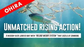 FLAT SIDEJOINT BAIT【OHIRA】 PV
