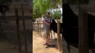 Neck Massage #shorts