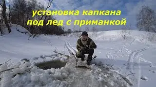 Установка проходного капкана КП 320  под лед с приманкой!  1 часть