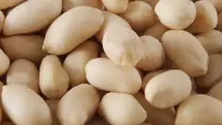 Riešutai