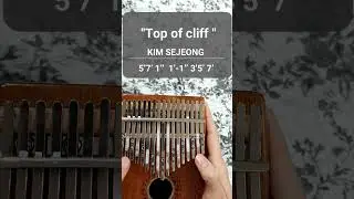 " Top of Cliff "  KIM SEJEONG ||| Ellin Kalimba cover #kalimba #kalimbacover #shorts #kimsejeong