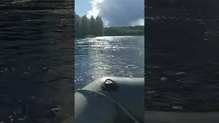 река Водла . плыву на лодке